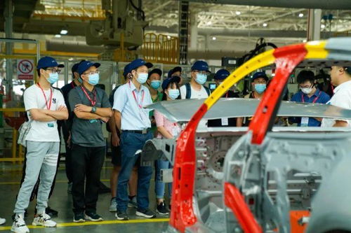 探訪完肇慶工廠，小鵬和特斯拉、蔚來、理想的車主怎么看P7？——申夢(mèng)汽車視角